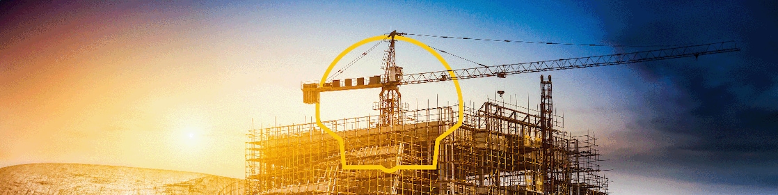 des grues en activité