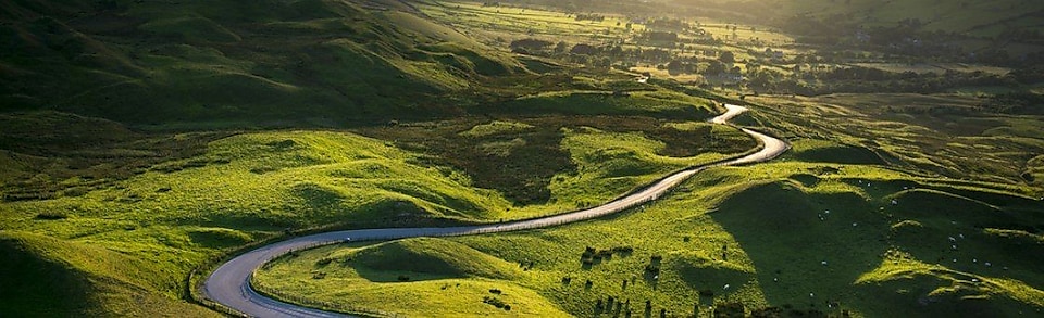 Une route passant entre les champs verts